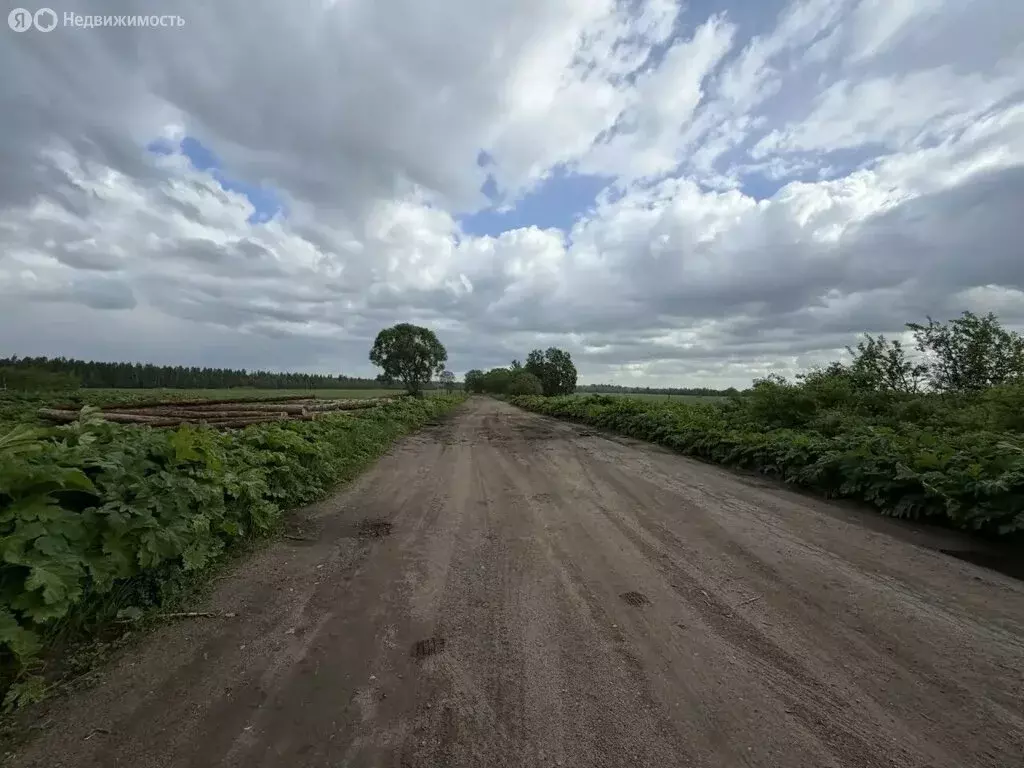 Участок в Бережковское сельское поселение, деревня Моисеево, 13 (42 м) - Фото 2