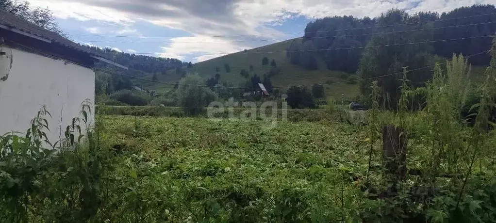 Участок в Алтай, Горно-Алтайск  (13.5 сот.) - Фото 1