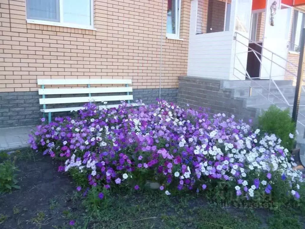 Дом в Белгородская область, Белгородский район, Дубовское с/пос, пос. ... - Фото 1