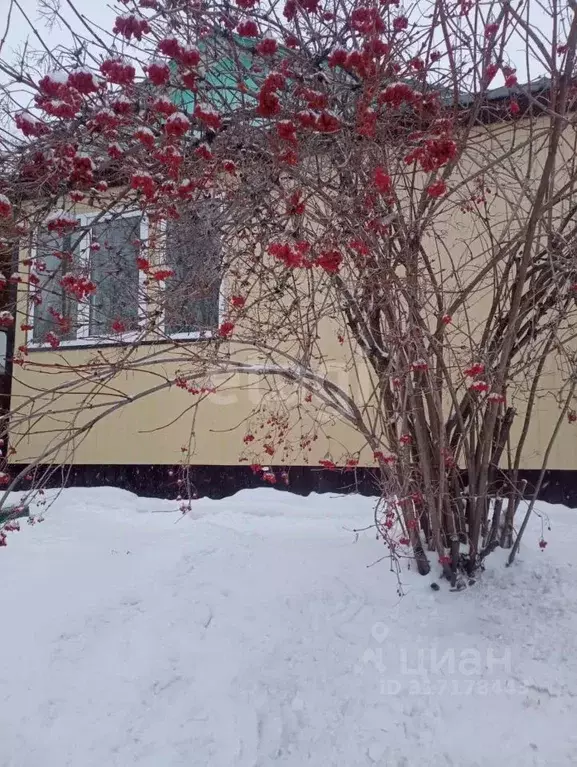 Дом в Амурская область, Белогорск Озерная ул., 6 (65 м) - Фото 1