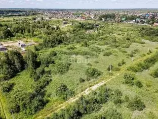 Участок в Тюменская область, Исетский муниципальный округ, с. Денисово ... - Фото 1