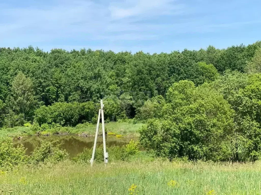 Участок в Мордовия, Кочкуровский район, д. Воробьевка Нагорная ул. ... - Фото 1