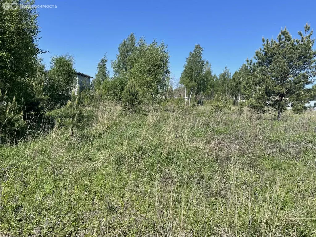 Участок в Раменское, КП Дергаево-2 (6 м) - Фото 1
