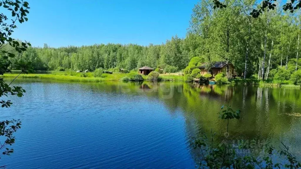 Участок в Санкт-Петербург пос. Левашово, Про Левашово кп,  (13.0 сот.) - Фото 0