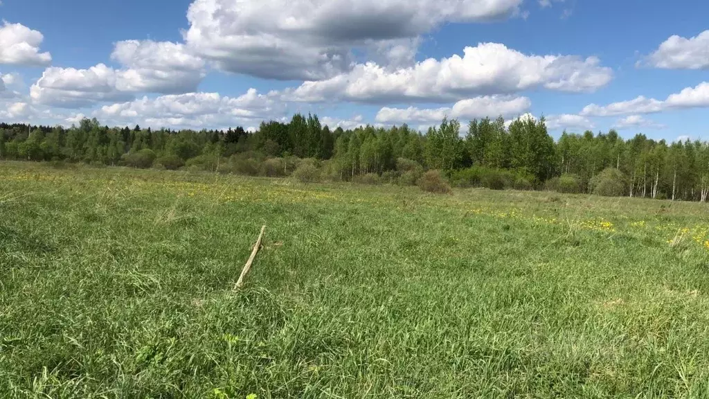 Участок в Московская область, Можайский муниципальный округ, д. ... - Фото 0