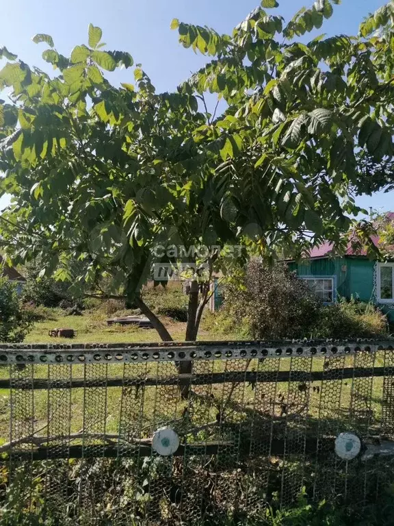 Дом 59,3 м на участке 29,7 сот. - Фото 1