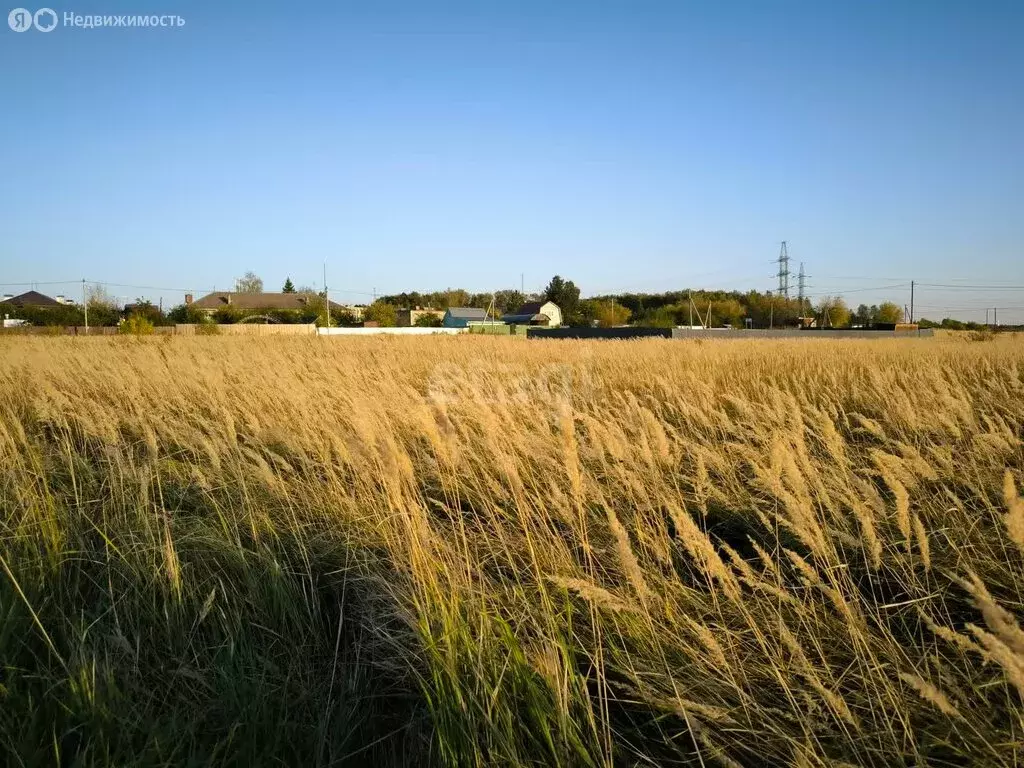 Участок в Московская область, городской округ Коломна, деревня ... - Фото 1