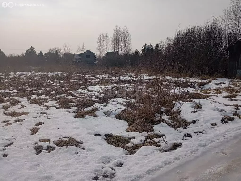 Участок в Вологодский муниципальный округ, садоводческое товарищество ... - Фото 0