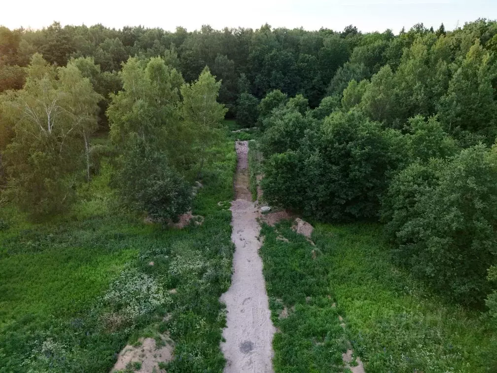 Участок в Калининградская область, Гурьевский муниципальный округ, ... - Фото 1