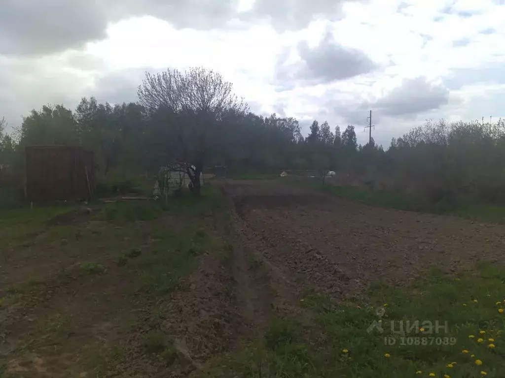 Участок в Нижегородская область, Бор городской округ, д. Петрово, ... - Фото 1