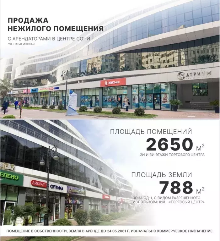 Торговая площадь в Краснодарский край, Сочи Центральный мкр, ул. ... - Фото 0