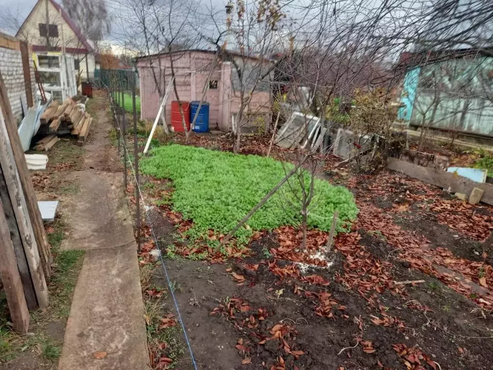 Купить Дачу В Васильево Недорого