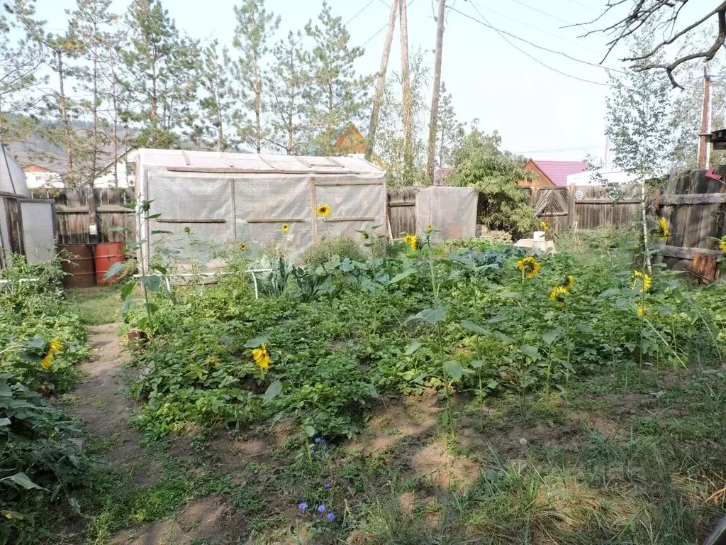 Участок в Саха (Якутия), Якутск ул. Березовая Речка (6.0 сот.) - Фото 1