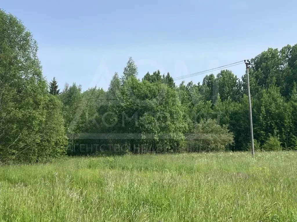 Участок в Ленинградская область, Приозерский район, Громовское с/пос, ... - Фото 1