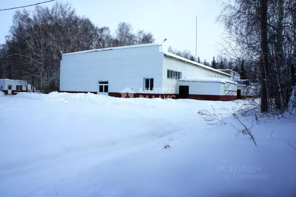 Помещение свободного назначения в Омская область, Саргатское рп ул. 50 ... - Фото 0