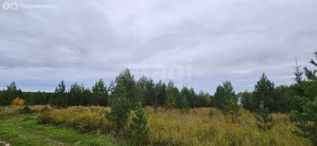 Участок в Завьяловский район, деревня Старые Кены, Севастопольская ... - Фото 1