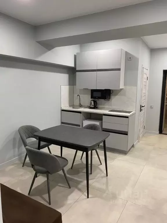 1-к кв. Краснодарский край, Сочи Бриз СНТ, 94 (37.3 м) - Фото 2