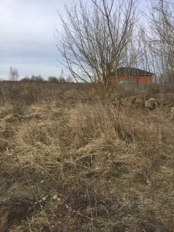 Участок в Московская область, Серебряные Пруды пгт ул. Свободная ... - Фото 1