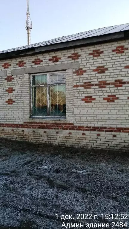 Офис в Пензенская область, Малосердобинский район, с. Саполга ... - Фото 1