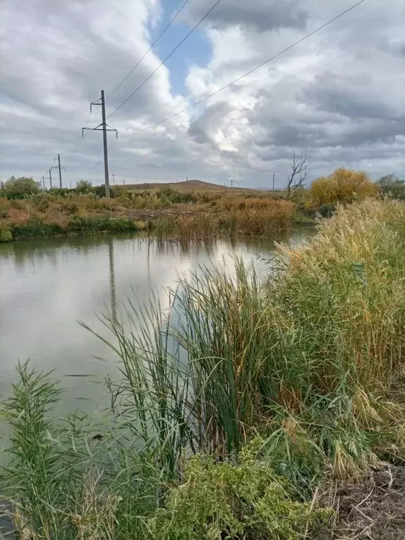 Участок в Ставропольский край, Шпаковский муниципальный округ, пос. ... - Фото 1