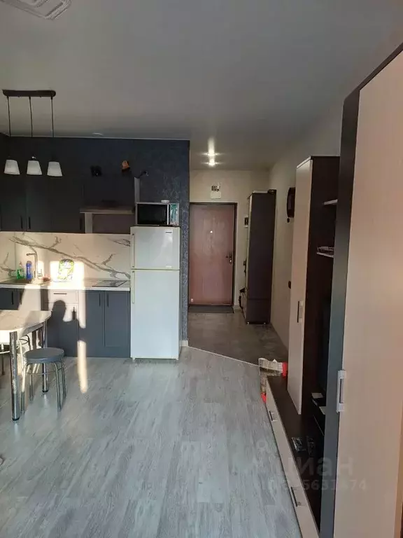 Студия Московская область, Домодедово городской округ, с. Домодедово ... - Фото 2