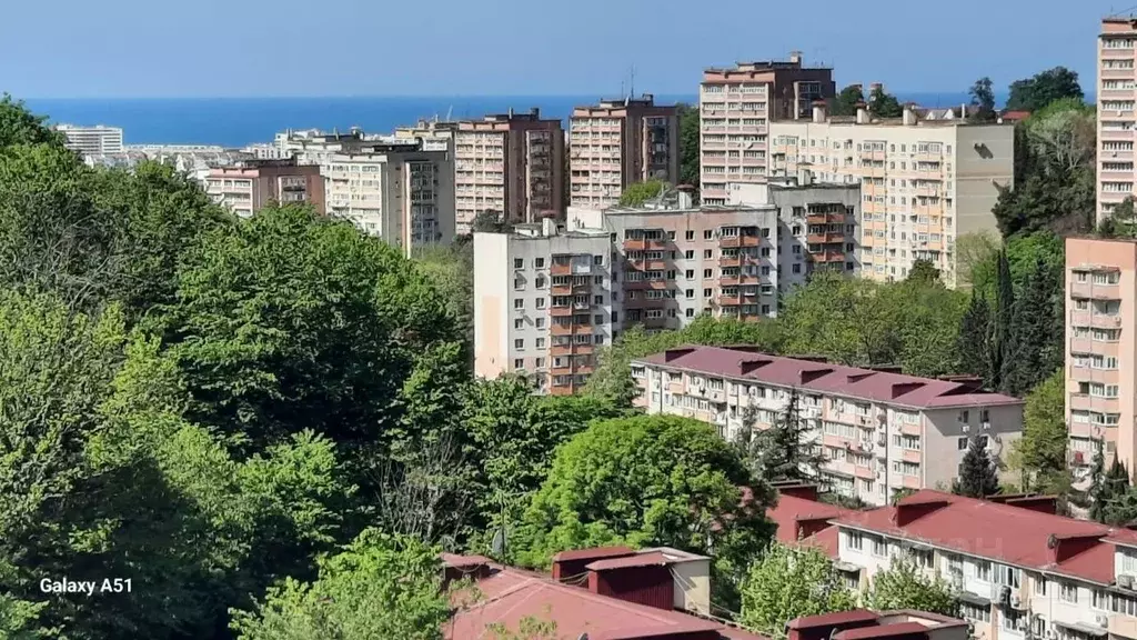 Студия Краснодарский край, Сочи Блиново мкр, ул. Лесная, 10 (32.6 м) - Фото 1