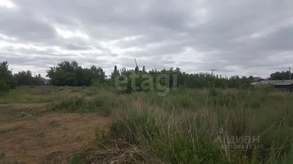 Участок в Курганская область, Курган Тополя мкр, Мирный пер. (18.8 ... - Фото 1