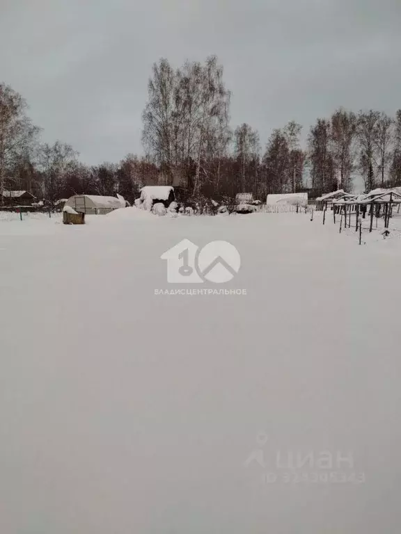 Участок в Новосибирская область, Новосибирск Сибиряк СНТ, ул. Лесная ... - Фото 2