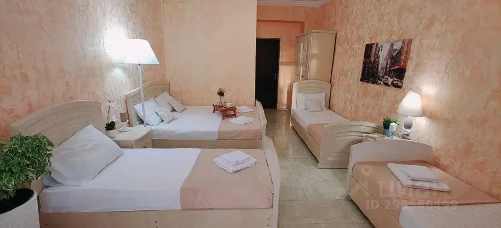 Комната Краснодарский край, Анапа муниципальный округ, с. Витязево ул. ... - Фото 2