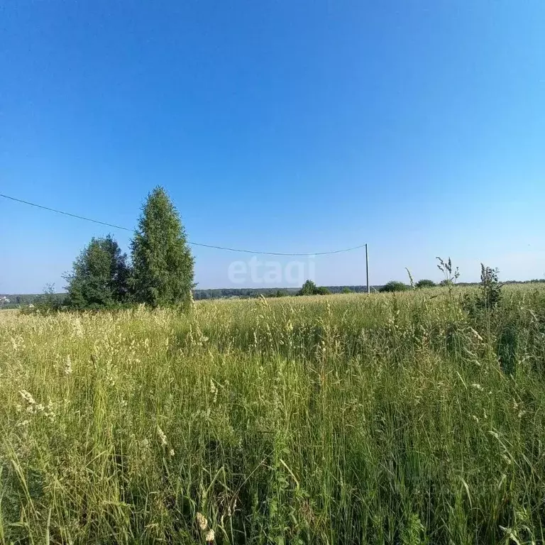 Участок в Новосибирская область, Мошковский район, с. Барлак Лесная ... - Фото 0