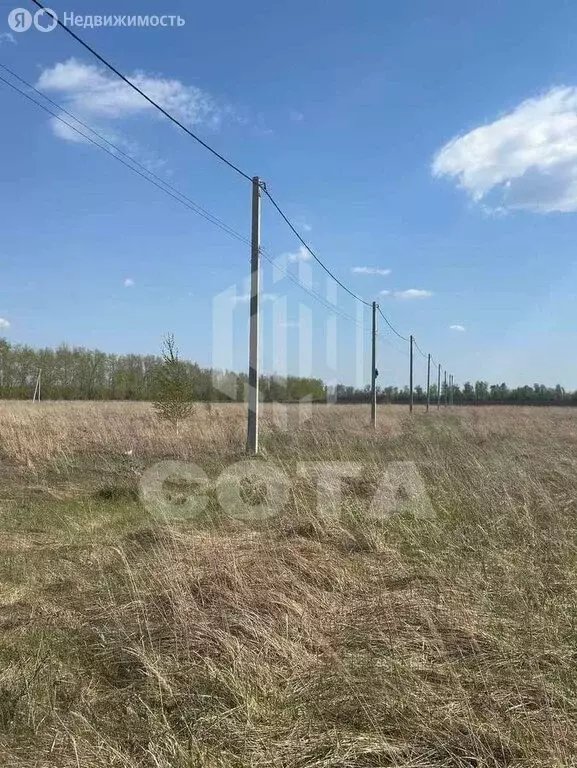 Участок в село Новая Усмань, улица Конструкторов, 105 (10 м) - Фото 1