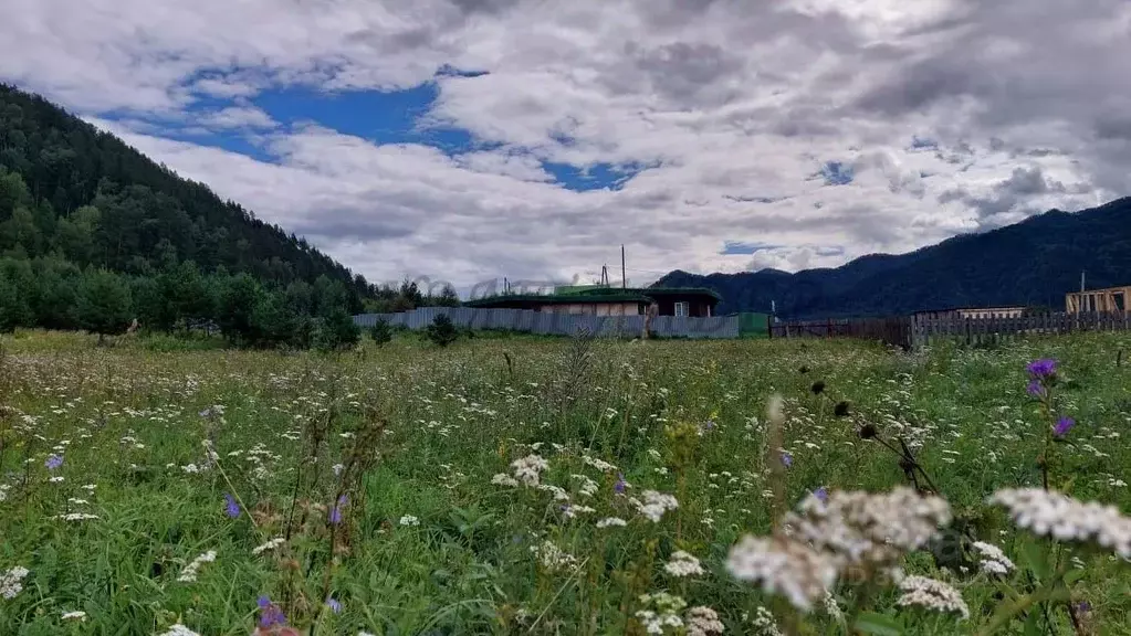 Участок в Алтай, Чемальский район, Узнезинское с/пос, с. Узнезя ул. ... - Фото 2