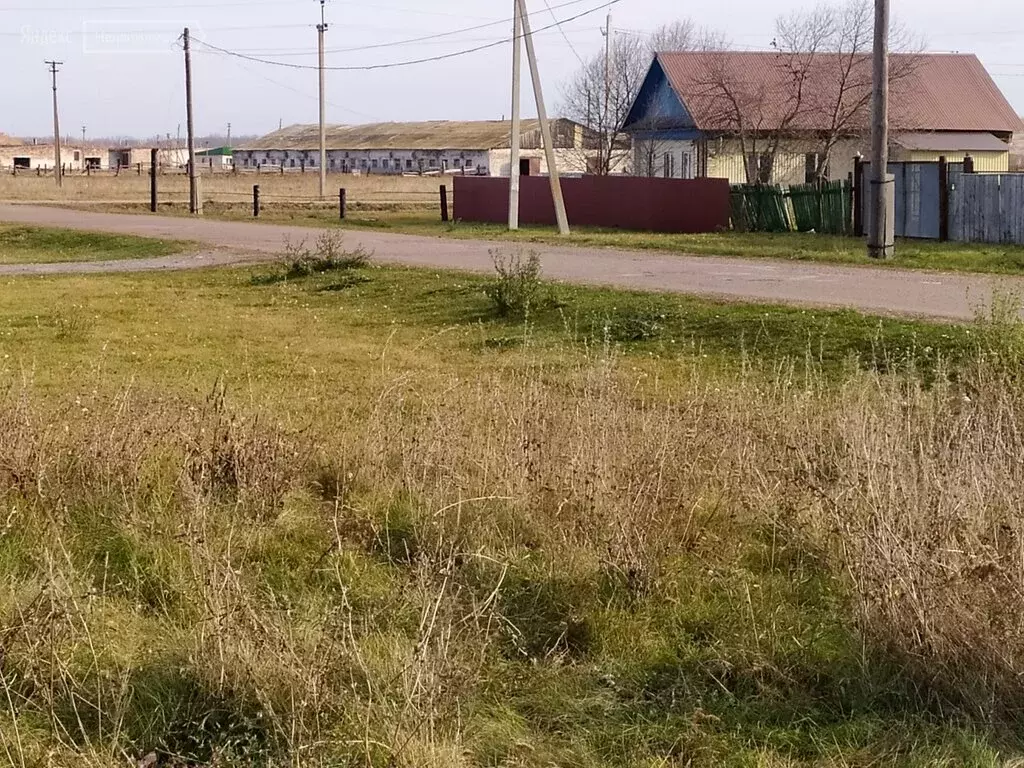 Погода кармасане уфимский. Село Кармасан Уфимского района. Совхоз Кармасан. Село Кармасан улица Молодежная. МУСП Совхоз Кармасан Уфимский район.