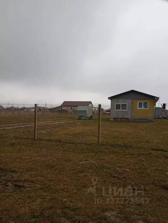 Участок в Краснодарский край, Темрюкский район, Краснострельское ... - Фото 2