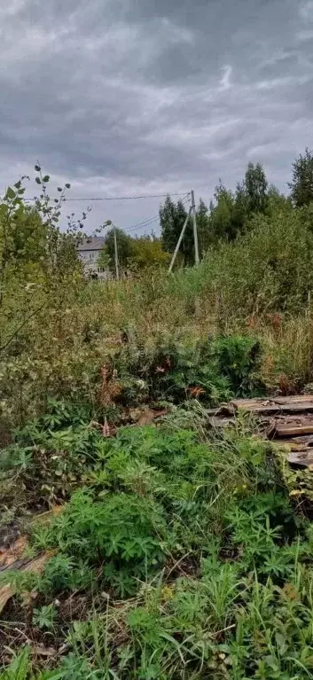 Участок в Курганская область, Шадринск Радуга СНТ, 2 (993.0 сот.) - Фото 0