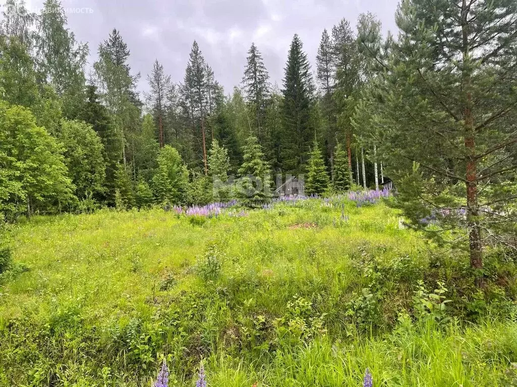 Участок в Деревянское сельское поселение, СНТ Заречье (15 м) - Фото 0