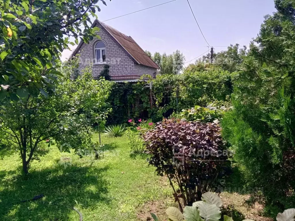 Дом в Волгоградская область, Волгоград Шельф СНТ,  (27 м) - Фото 1