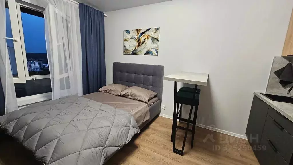 Студия Свердловская область, Екатеринбург ул. Хуторская, 1 (23.0 м) - Фото 1