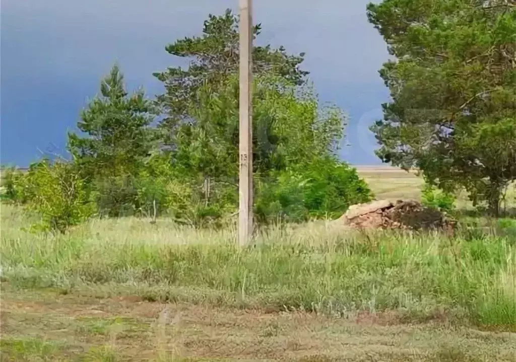 Участок в Оренбургская область, Соль-Илецк Просторная ул., 55 (13.0 ... - Фото 1