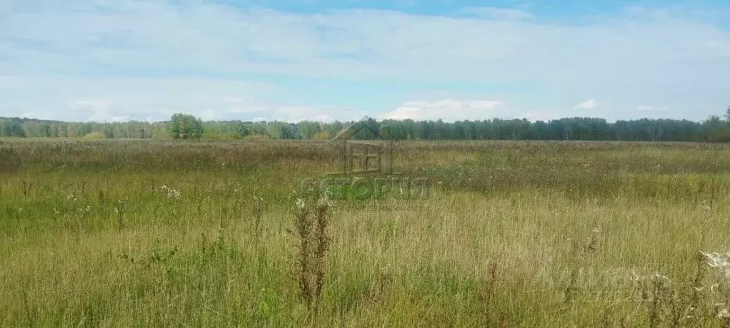 Участок в Красноярский край, Емельяновский муниципальный округ, д. ... - Фото 1