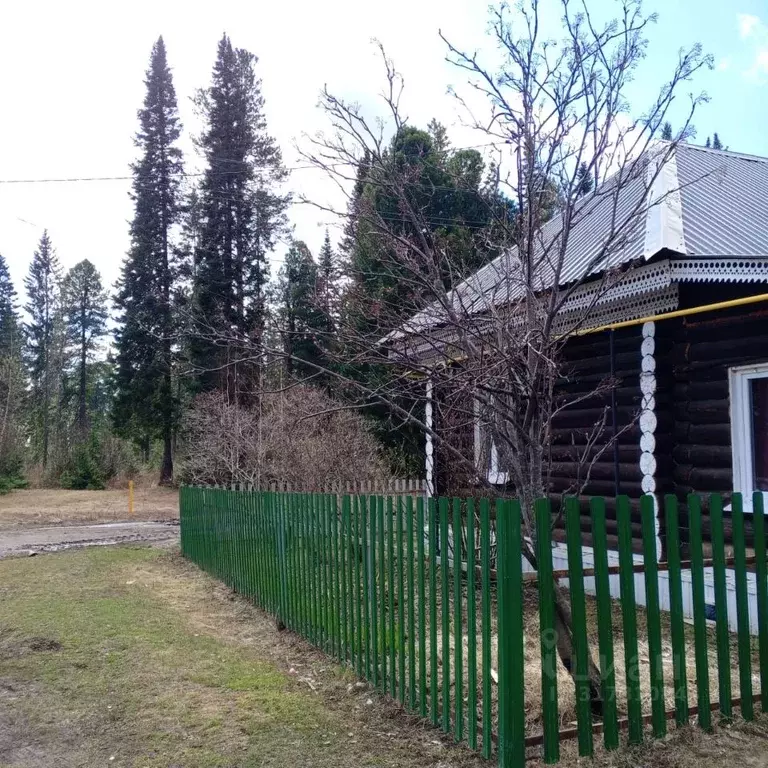 Дом в Томская область, с. Кривошеино  (49 м) - Фото 1