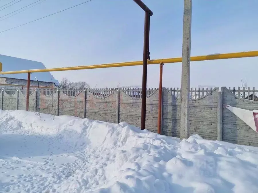 Участок в Новосибирская область, Новосибирский район, Толмачевский ... - Фото 2