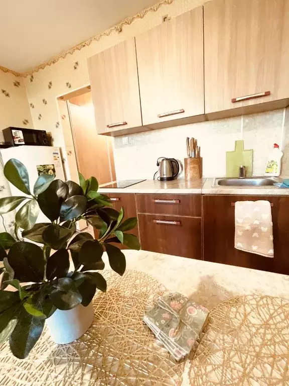 Студия Амурская область, Благовещенск ул. Шимановского, 82 (33.0 м) - Фото 1