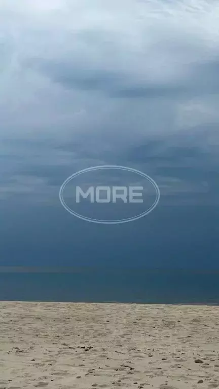 Участок в Калининградская область, Зеленоградский муниципальный округ, ... - Фото 1