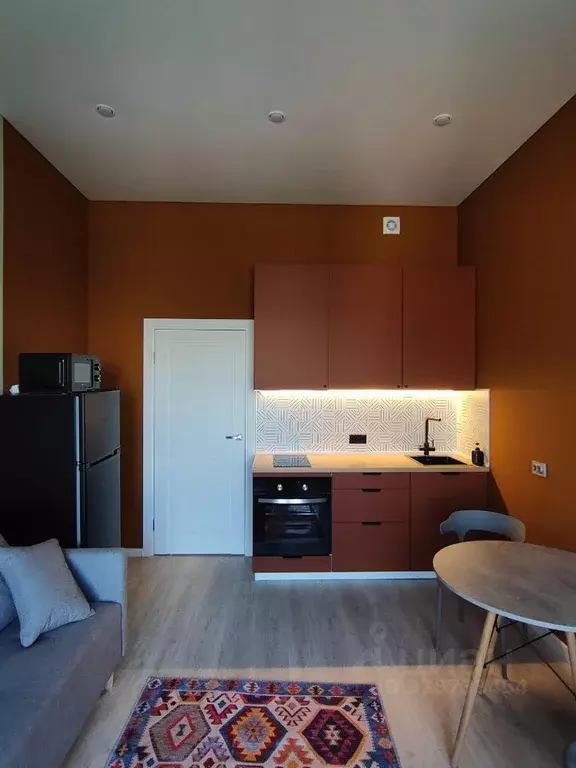 Студия Санкт-Петербург ул. Струве, 8к2 (21.0 м) - Фото 0