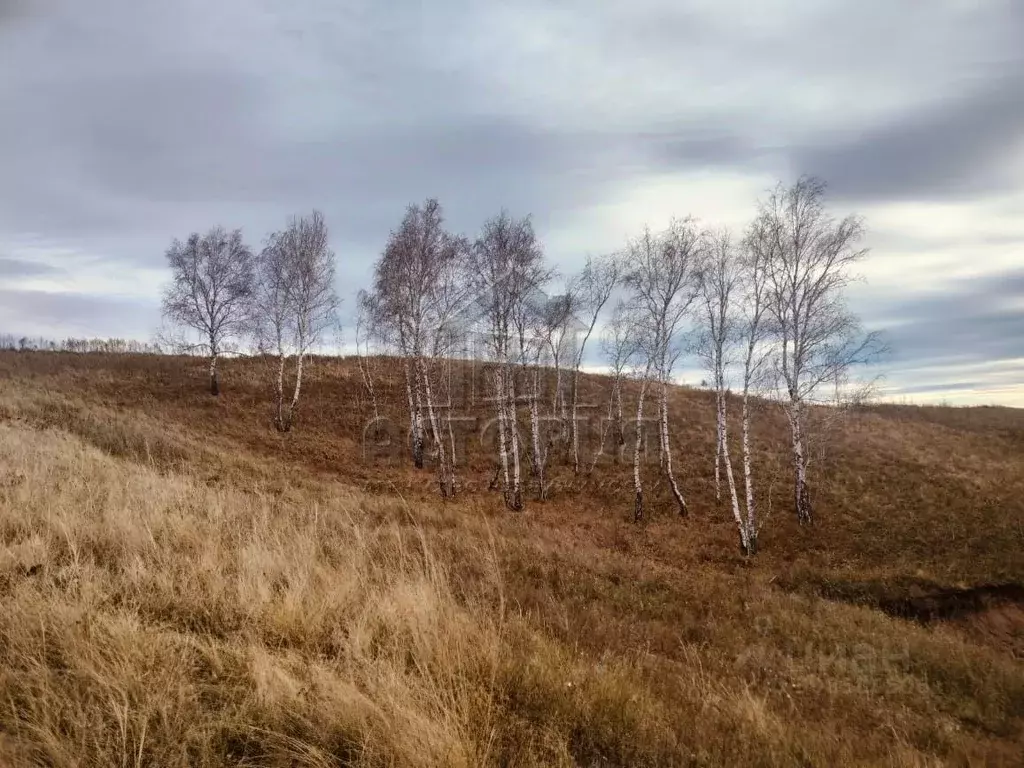 Участок в Красноярский край, Красноярск Извилистая ул., 22 (14.6 сот.) - Фото 1