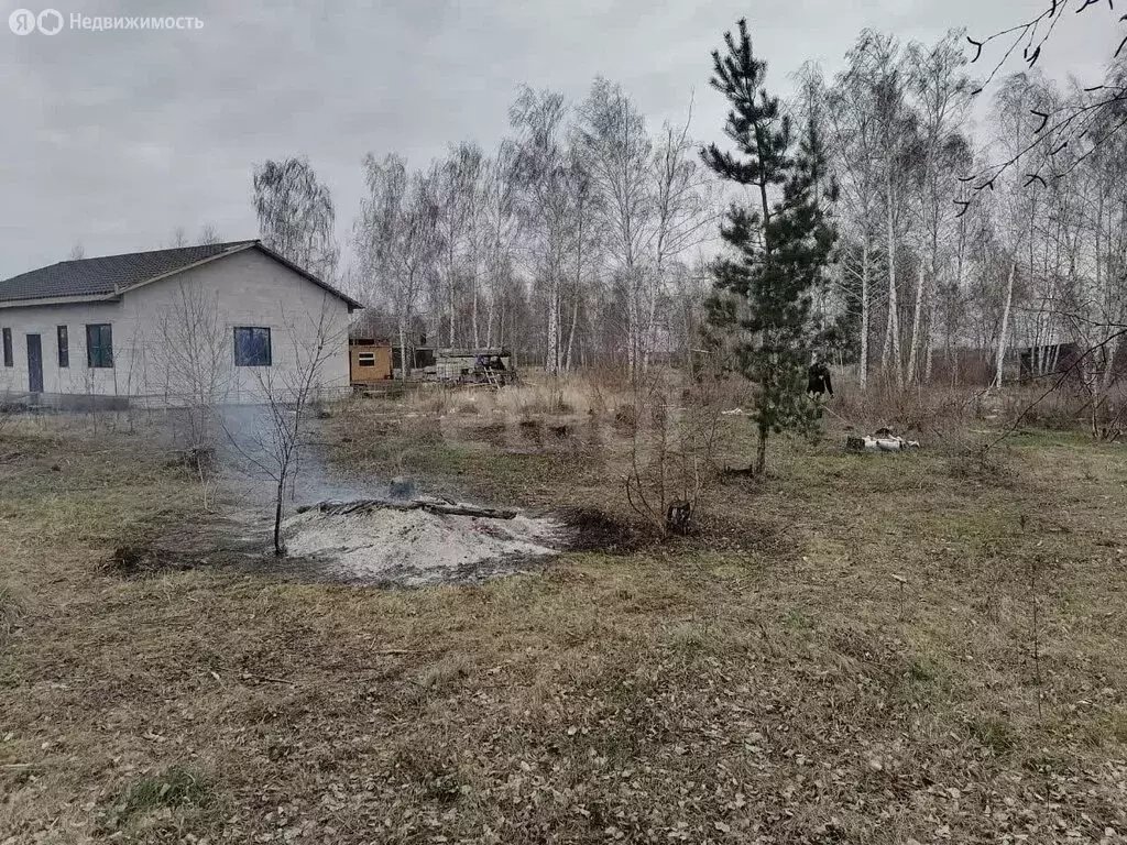 Участок в село Новая Усмань, Виноградная улица, 1 (13.5 м) - Фото 2