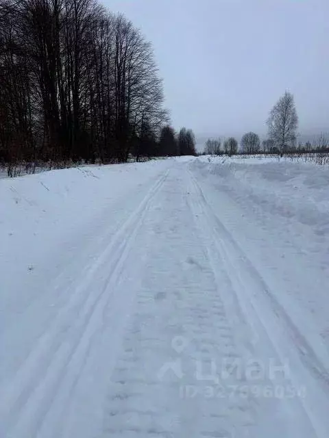 Участок в Калужская область, Мещовский муниципальный округ, Серпейск ... - Фото 2