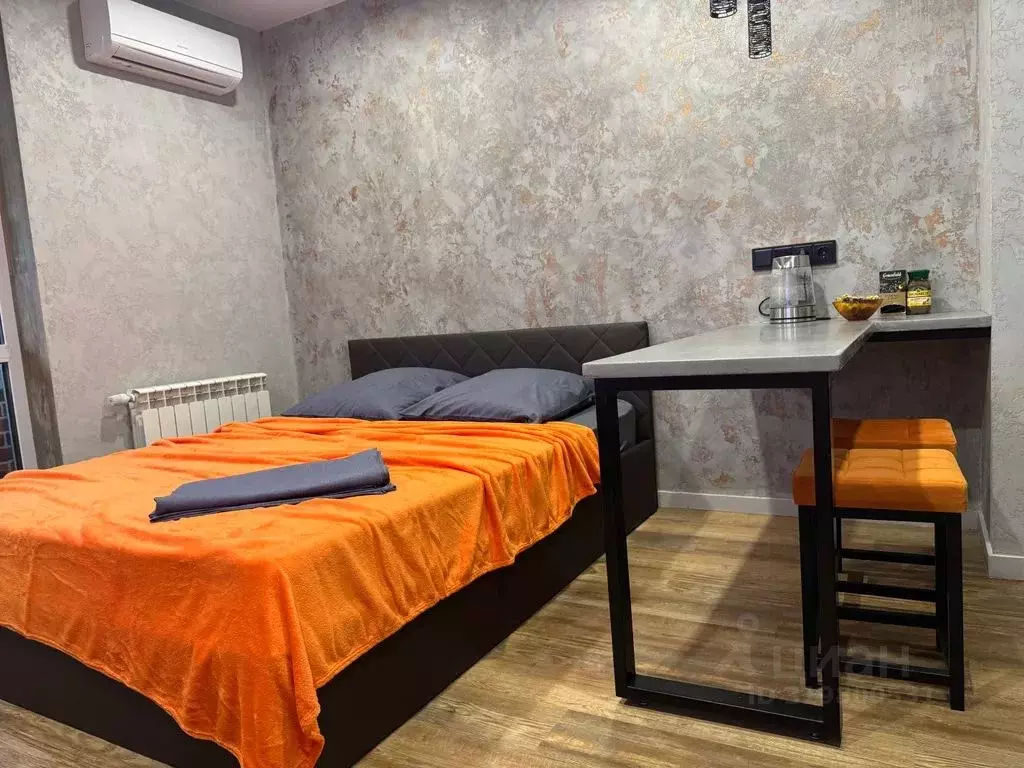 Студия Воронежская область, Воронеж ул. Федора Тютчева, 105 (21.0 м) - Фото 2