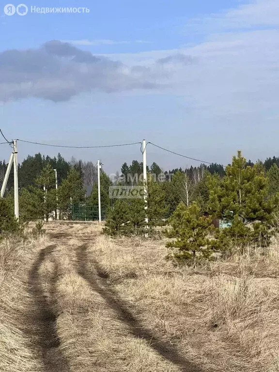 Участок в Липецкая область, Задонский муниципальный округ, село Казино ... - Фото 1